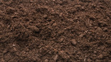 Bitkiler için kara toprak. Üst görünüm. 