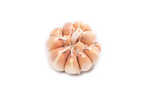 Garlic Isolated White Background Top View — Stock Photo, Image