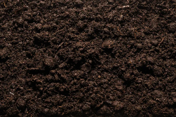 Tierra Negra Para Fondo Vegetal Vista Superior — Foto de Stock