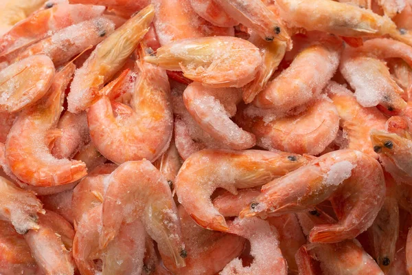 Buzlu taze karides. Üst görünüm.  