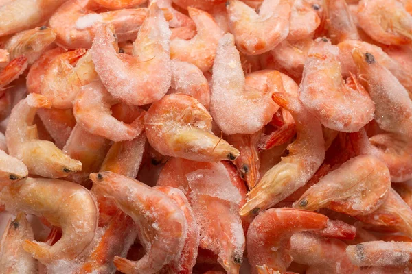 Buzlu taze karides. Üst görünüm.  