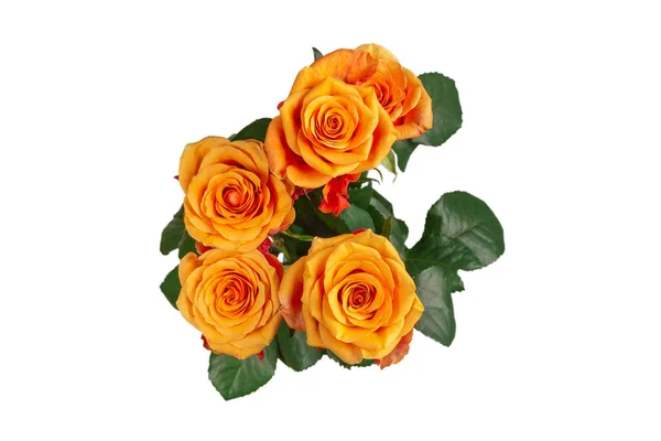 Помаранчева Троянда Ізольована Білому Тлі Вид Зверху — стокове фото