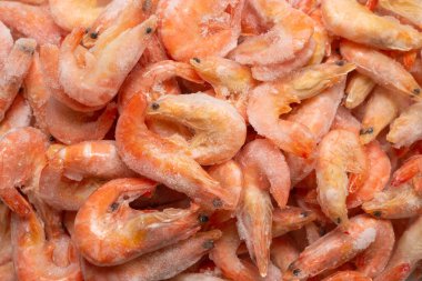 Buzlu taze karides. Üst görünüm.  