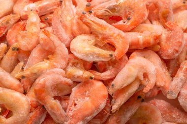 Buzlu taze karides. Üst görünüm.  