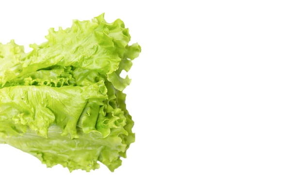 Verse Sla Salade Geïsoleerd Een Witte Achtergrond Bovenaanzicht — Stockfoto