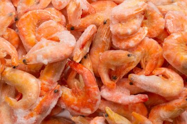 Buzlu taze karides. Üst görünüm.  