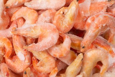 Buzlu taze karides. Üst görünüm.  