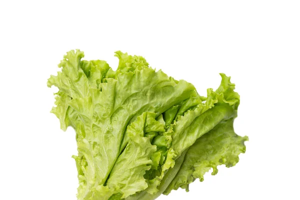 Fresh Lettuce Salad Isolated White Background Top View — Stock Photo, Image