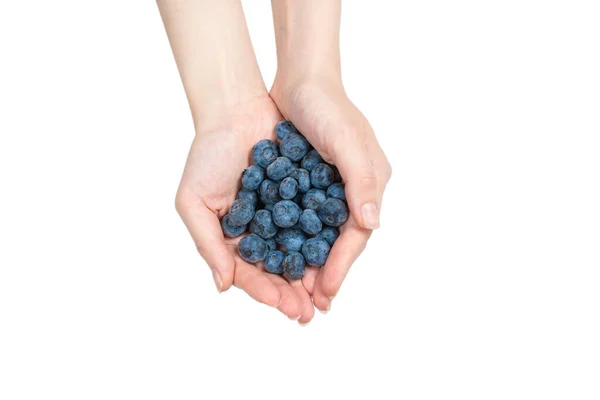 Bluepberry Kept Woman Hands Isolated White Background Top View — Stock Photo, Image