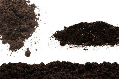 Beyaz arka planda izole edilmiş bitkiler için kara toprak. 