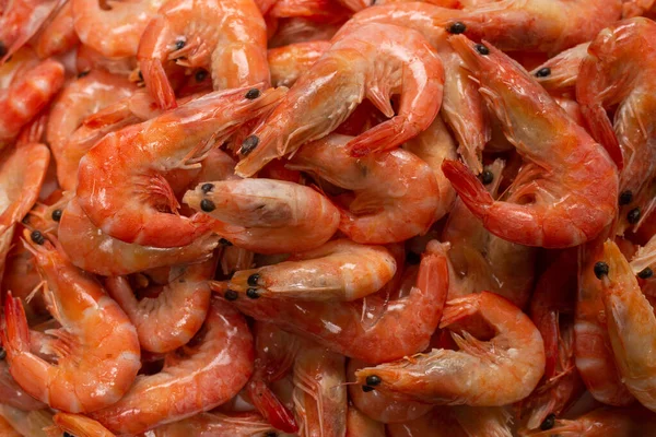 Shrimps Background Texture Lot Shrimps Cooked Shrimps — Stock Photo, Image