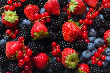 Blackberry, ahududu, yabanmersini, fonda kırmızı frenk üzümü. Üst görünüm. 