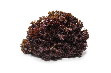 Beyaz arka planda izole edilmiş taze mor salata. Üst görünüm. 