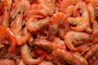 Karides arkaplan dokusu. Bir sürü karides. Pişmiş karides.. 