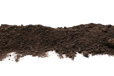 Beyaz arka planda izole edilmiş bitkiler için kara toprak. Çerçeve. Boşluğu kopyala. 
