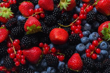 Blackberry, ahududu, yabanmersini, fonda kırmızı frenk üzümü. Üst görünüm. 