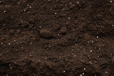 Bitkiler için kara toprak. Üst Manzara. Yer deseni. 