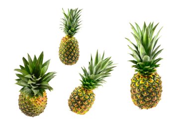 Beyaz üzerine izole edilmiş ananas. 