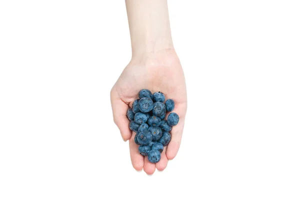 Bluepberry Kept Woman Hands Isolated White Background Top View — Stock Photo, Image