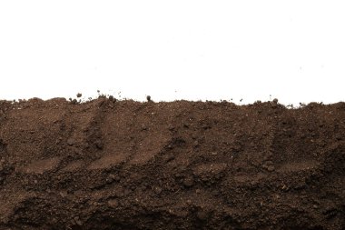 Beyaz arka planda izole edilmiş bitkiler için kara toprak. Çerçeve. Boşluğu kopyala. 