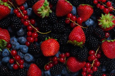 Blackberry, ahududu, yabanmersini, fonda kırmızı frenk üzümü. Üst görünüm. 