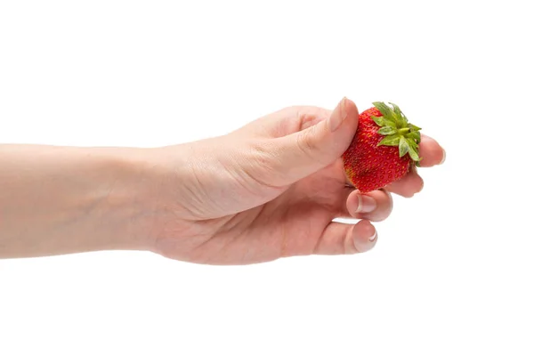 白を背景に手で隔離されたイチゴ — ストック写真