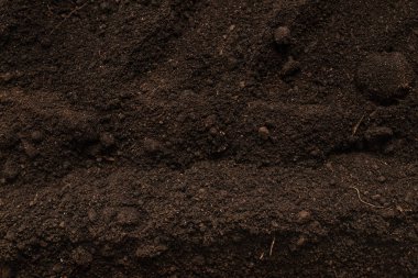 Bitkiler için kara toprak. Üst Manzara. Yer deseni. 