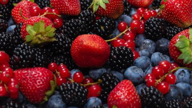 Blackberry, ahududu, yabanmersini, fonda kırmızı frenk üzümü. Üst görünüm. 