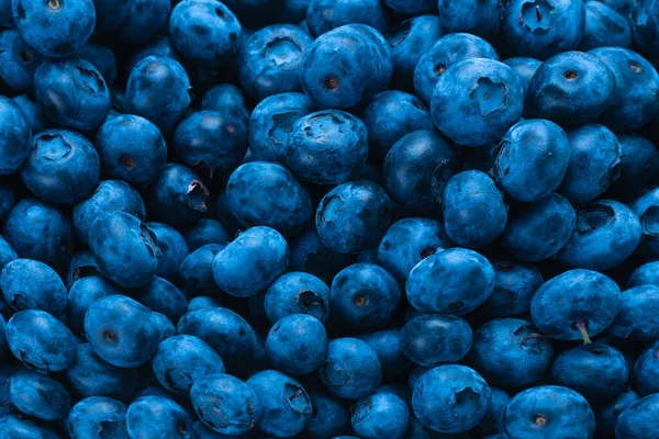 Fresh Blueberry Background Texture Blueberry Berries Close — Stock Photo, Image