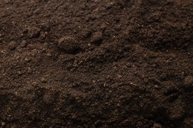 Bitkiler için kara toprak. Üst Manzara. Yer deseni. 
