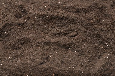 Bitkiler için kara toprak. Üst Manzara. Yer deseni. 