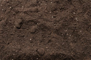 Bitkiler için kara toprak. Üst Manzara. Yer deseni. 