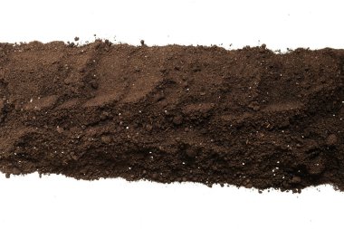 Beyaz arka planda izole edilmiş bitkiler için kara toprak. Çerçeve. Boşluğu kopyala. 