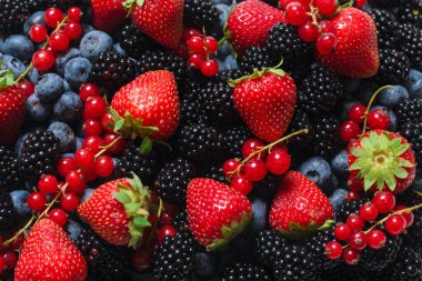 Blackberry, ahududu, yabanmersini, fonda kırmızı frenk üzümü. Üst görünüm. 