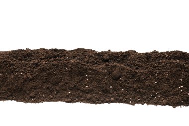Beyaz arka planda izole edilmiş bitkiler için kara toprak. Çerçeve. Boşluğu kopyala. 