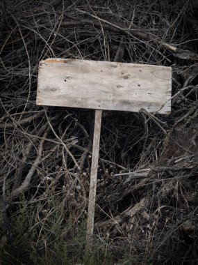 Korkunç boş ahşap levha kuru dalların üzerinde yatıyor. Uzayı kopyala Cadılar Bayramı. 