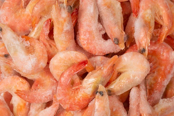 Udang Segar Tampilan Atas — Stok Foto