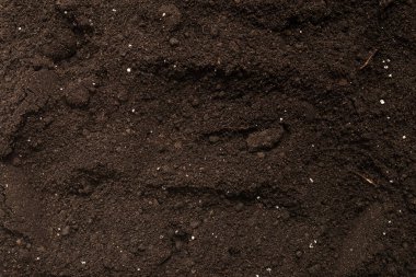 Bitkiler için kara toprak. Üst Manzara. Yer deseni. 