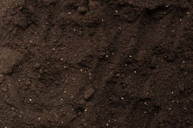 Bitkiler için kara toprak. Üst Manzara. Yer deseni. 