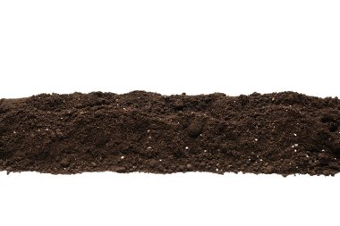 Beyaz arka planda izole edilmiş bitkiler için kara toprak. Çerçeve. Boşluğu kopyala. 