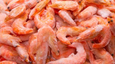 Buzlu taze karides. Üst görünüm.  