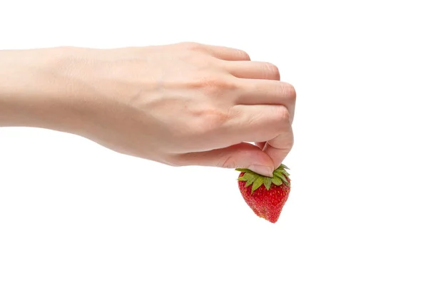 白を背景に手で隔離されたイチゴ — ストック写真
