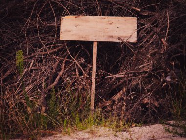 Korkunç boş ahşap levha kuru dalların üzerinde yatıyor. Uzayı kopyala Cadılar Bayramı. 