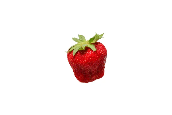 Strawberry Fresh Berries Macro Isolated White Top View — Stock Photo, Image