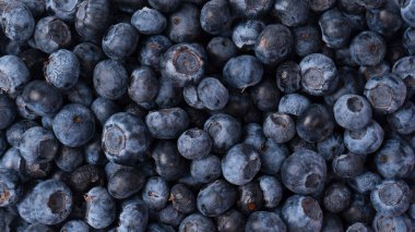 Beyaz arka planda izole edilmiş plastik bir kapta yaban mersini. Üst görünüm.