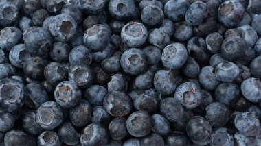 Beyaz arka planda izole edilmiş plastik bir kapta yaban mersini. Üst görünüm.