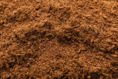 Hindistan cevizi substrat arka planı. Üst görünüm.