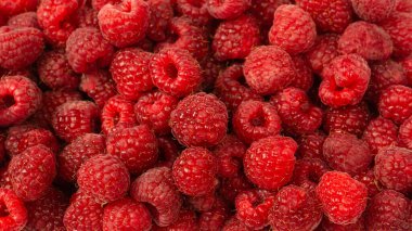 Beyaz arkaplanda izole edilmiş plastik kabın içindeki ahududu. 