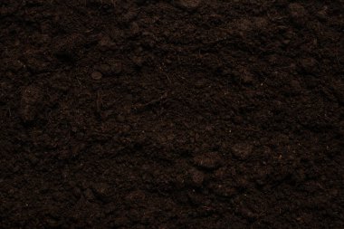 Bitkiler için kara toprak. Üst görünüm. 