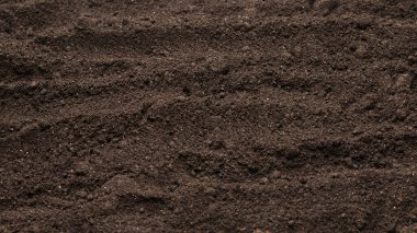 Bitkiler için kara toprak. Üst görünüm. 